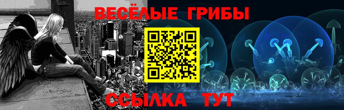 Городец  Галлюциногенные грибы мицелий  Вход с VPN 